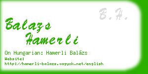 balazs hamerli business card